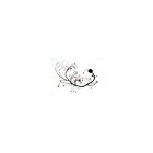 25-124235-1 Lectric Limited 1st Design