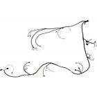 25-124256-1 Lectric Limited Engine Forward Light Wiring Harness Show Quality