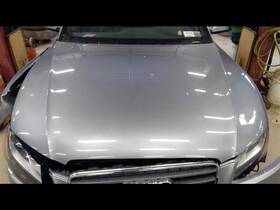 117-50217 Audi No Shipping Hood Fits 08-12 A5 354048