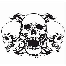 Rt6634 Bcsmmcar 35 60 Cm Custom Triple Skull Car Stickers Vinyl Decals Parts And Accessories