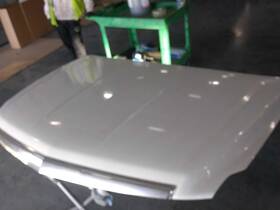 117-02750 Cadillac Hood Fits 15-20 Escalade 526801