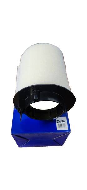 256968 Carquest Air Filter