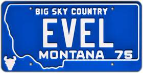 Celebrity Machines 810376031290 Evel Knievel Metal Stamped License Plate Blue
