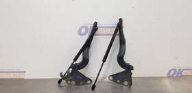 118.gm8m21 Chevrolet Truck 21 Chevy Silverado 1500 Hood Hinge Set Pair Blue