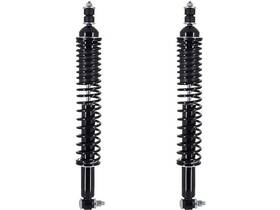 35755dvmz Fcs Automotive For Chevrolet Two Ten Series Shock Absorber And Coil Spring Assembly
