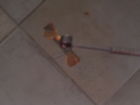 Fdc-18548b Mercury 1954 Nos Heater