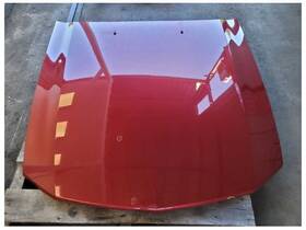 117-01647a Ford 2005-2009 Mustang Gt Front Hood Shell Bonnett Paint G2 2621