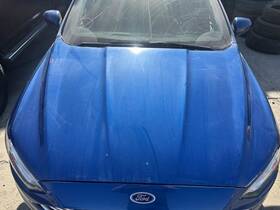 117-01681 Ford Local Pickup Only Hood Fits 13-20 Fusion 704377