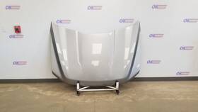 117-10267 Ford 23 F150 Hood Silver