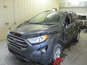 172.fd1b20 Ford Ecosport 2020 Hatchback Strut 1736361