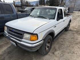 104-01457a Ford Truck Grille Styleside Painted Fits 93-94 Ranger 1467901