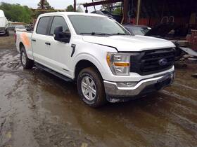 Ford Truck 117-10424a Hood With Air Vents Fits 21-25 F150 Pickup 62906