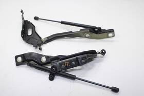Fl34-16800-a Ford Truck 118.fd8116 2015-20 F150 Super Cab Lariat Front Rh And Lh Hood Hinge Set With Lift Struts