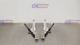 118.fd8117 Ford Truck 17 F150 Hood Hinge Set Pair Pearl White