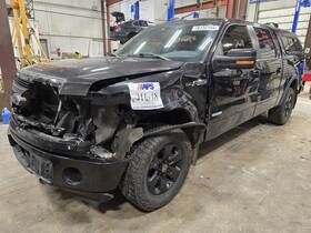 128-03165bl Ford Truck 11 - 14 F-150 Drivers Side Door Mirror E828704