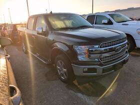128-04655l Ford Truck Driver Side View Mirror Power Pedestal Fits 15-20 F150 Pickup 7962740