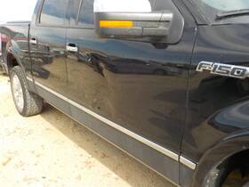 130-01170ar Ford Truck Passenger Rear Side Door Crew Cab 4 Fits 09-14 F150 Pickup 1388048