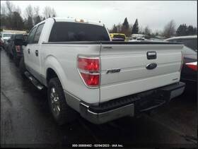 9l3z16102a Ford Truck 2009-2014 F150 Passenger Right Front Inner Fender Oem