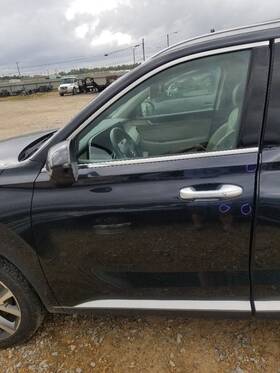 120-10365al Hyundai 20-24 Palisade Oem Driver Left Front Door Black