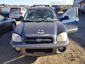 120-59077al Hyundai Driver Left Front Door With Body Side Cladding Fits 02-06 Santa Fe