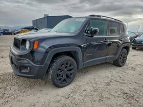 5vx83lxhaa Jeep Left Front Door Moulding Oem 2016 Renegade