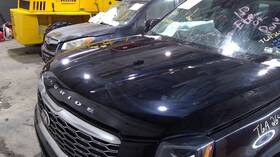 117-10159 Kia Local Pickup Only Hood Fits 20-24 Telluride 1001973