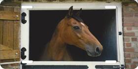 Lp-3175 Smart Blonde Horse In Stable License Plate -