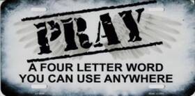 Smart Blonde Lp-8648 Pray A Four Letter Word Metal License Plate