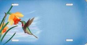 Sm649 Smokey Mountain Offset Hummingbird With Sunflower License Plate Free Names On This