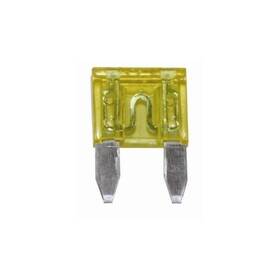 20309f The Best Connection 30 Amp Green Mini Fuse 2 Pcs