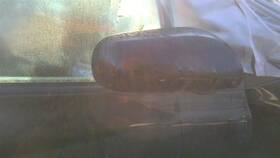 128-61446r Toyota Passenger Right Side View Mirror Manual Hatchback Fits 06-11 Yaris 29465252