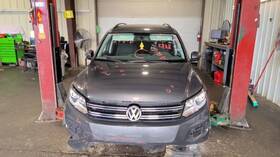 104-59444 Volkswagen Grille Upper 4 Bars Tiguan Limited Fits 12-18 887869