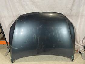 117-59215 Volkswagen Local Pickup Only Hood Fits 15-21 Golf 2072377