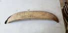 Nos Foxcraft 1968-1970 Chevy Ii Stainless Fender Skirt CWS-68 Chevrolet Nova. Fixed Price $55.00.