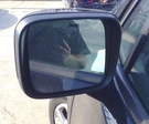 Driver Lh Side View Mirror In PX8 Black 15 16 17 2018 19 21 Jeep Renegade. Fixed Price $91.41.