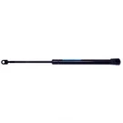 Lift Support Strong Arm 4625. Fixed Price $16.92.