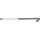 Tailgate Lift Support Strong Arm 6222R. Fixed Price $29.79.