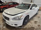 Passenger Right Front Door QX3-WINTER Frost Fits 09-14 Maxima 1345338. Fixed Price $150.00.