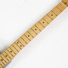 Fender American Professional Classic Telecaster Electric Guitar #BE11730. Fixed Price $2256.73.