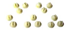 Corvette 1963-1965 Nut Lower Rocker Molding 14 Pieces. Fixed Price $21.95.