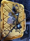 Genuine Mopar Front Door Wiring Right 68365313AC. Fixed Price $109.00.