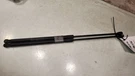 Camry 2020 Hood Struts. Fixed Price $90.00.
