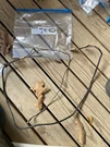 1965 Ford Fairlane 500 Safety Neutral Switch Wiring Wires C4 Auto Column Shift. Fixed Price $65.00.
