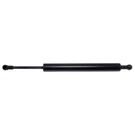 Strong Arm Lift Supports 6849 Tailgate. Fixed Price $38.23.