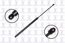 Focus Auto Parts Hood Lift Support N 84630. Fixed Price $22.85.