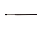 Back Glass Lift Support. Fixed Price $30.95.