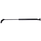Strong Arm Lift Supports 4963R Tailgate. Fixed Price $60.60.