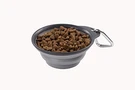 Dexas PW200432429 Collapsible Travel Cup. Fixed Price $19.72.