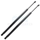 2X Liftgate Support Struts Gas Springs For 2010-17 Chevrolet Equinox PM3149. Fixed Price $30.13.
