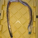 2019-2022 Toyota Avalon Seal Hood Front End Panel New Oem 53395-07030. Fixed Price $18.00.